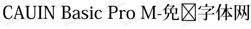 CAUIN Basic Pro M字体转换